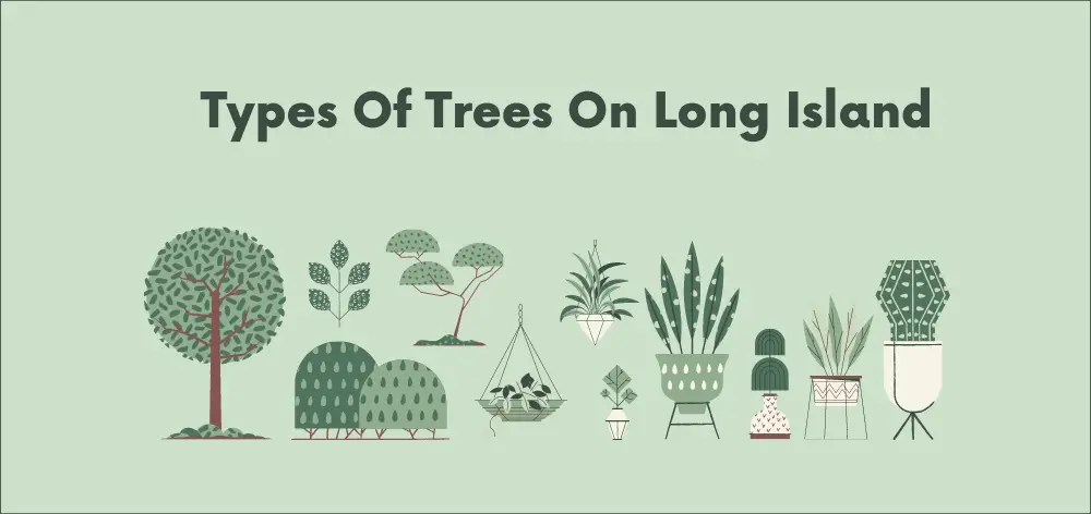trees of long island