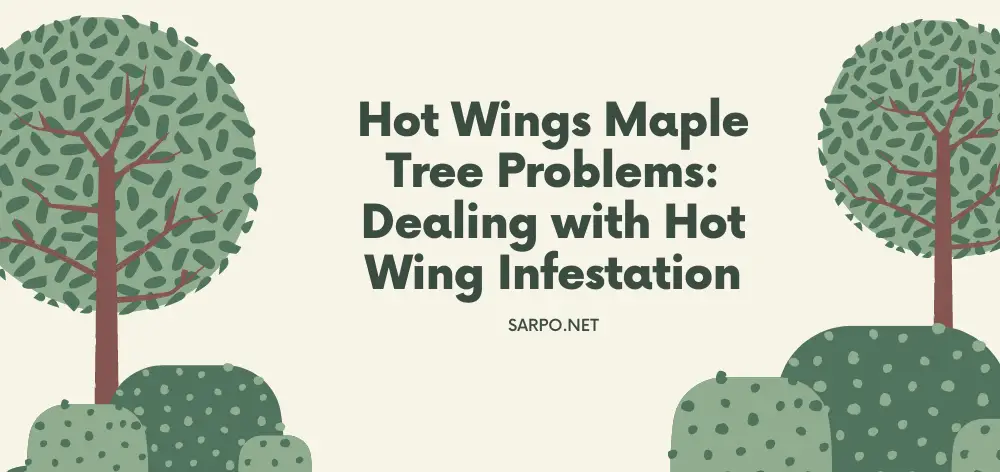 Hot Wings Maple Tree Problems: Dealing with Hot Wing Infestation