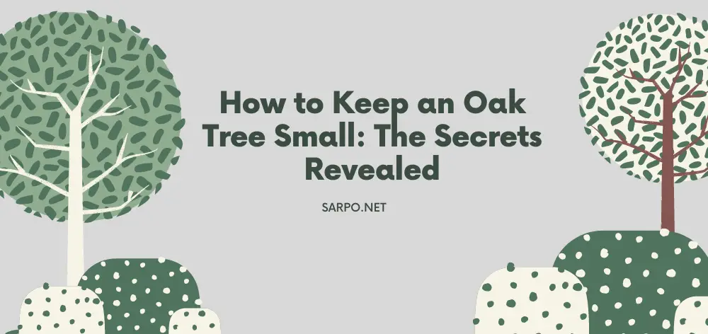 How to Keep an Oak Tree Small