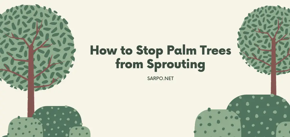 How to Stop Palm Trees from Sprouting