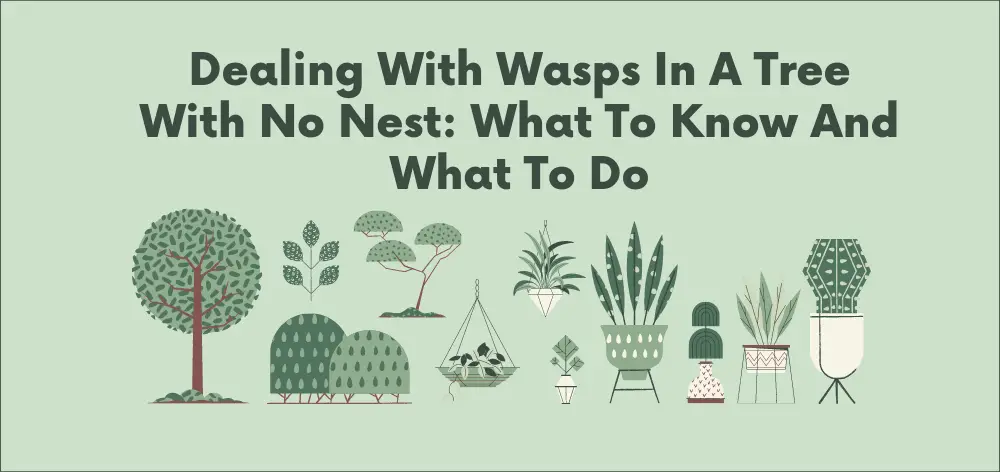 Dealing With Wasps in a Tree With No Nest: What to Know And What to Do