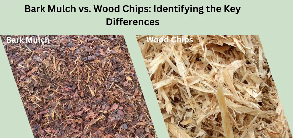 Bark Mulch vs. Wood Chips