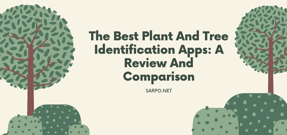 The Best Plant And Tree Identification Apps