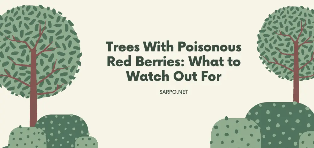 Trees With Poisonous Red Berries: What to Watch Out For