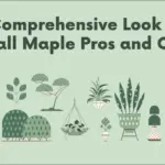 Firefall Maple Pros and Cons