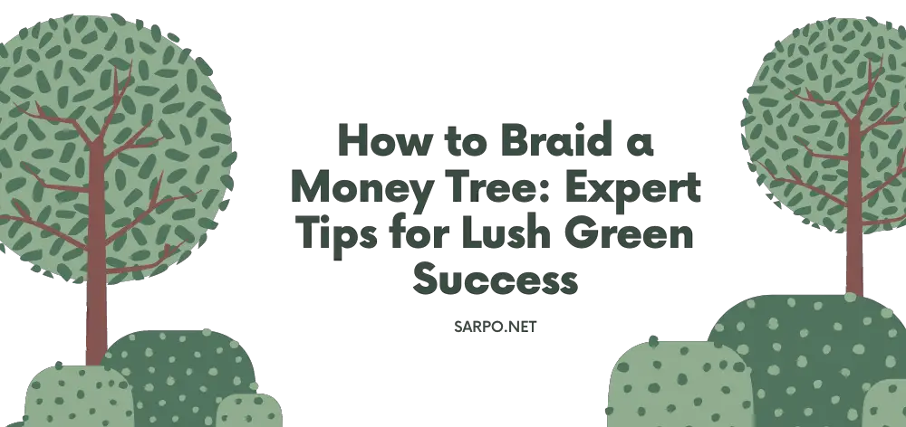 How to Braid a Money Tree