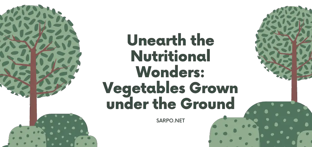 Vegetables Grown under the Ground