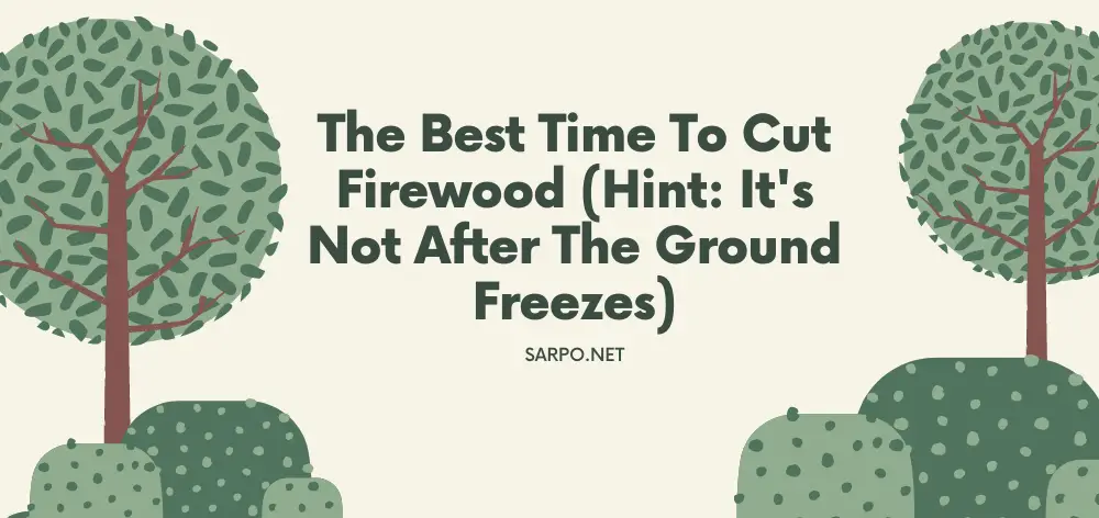 Best Time to Cut Firewood