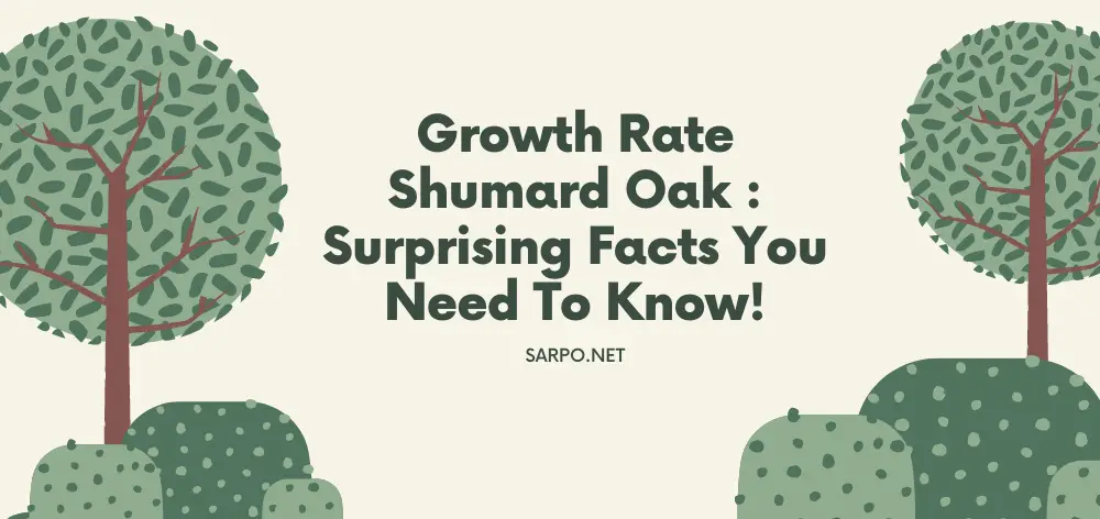 Growth Rate Shumard Oak  : Surprising Facts You Need to Know!