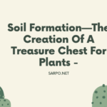 How is Soil Formed