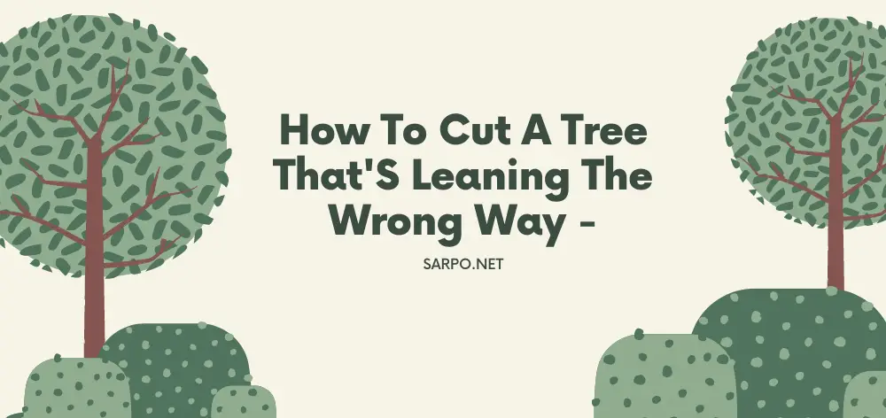 How to Cut a Tree That’S Leaning the Wrong Way