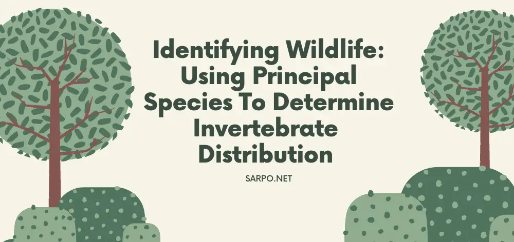 Identifying Wildlife: How to determine principal species