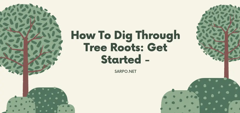 How To Dig Through Tree Roots: Get Started