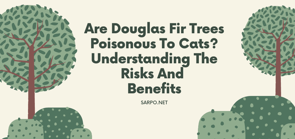 Are Douglas Fir Trees Poisonous to Cats