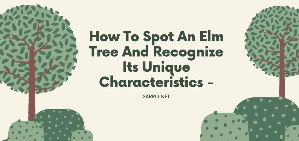 How to Spot an Elm Tree And Recognize Its Unique Characteristics