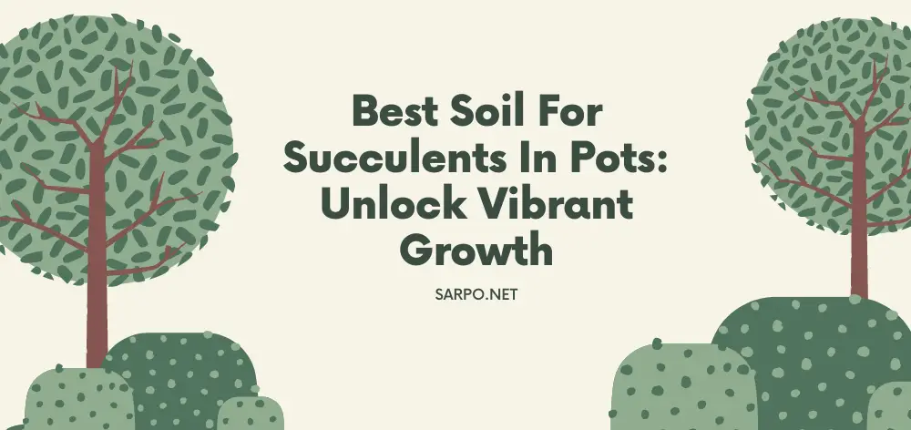 Best Soil for Succulents in Pots: Unlock Vibrant Growth