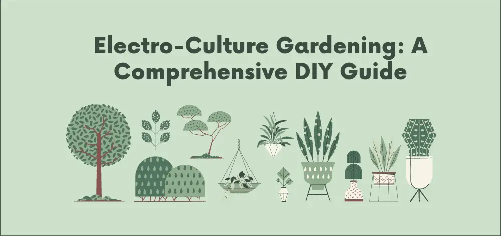 Electro Culture Gardening DIY