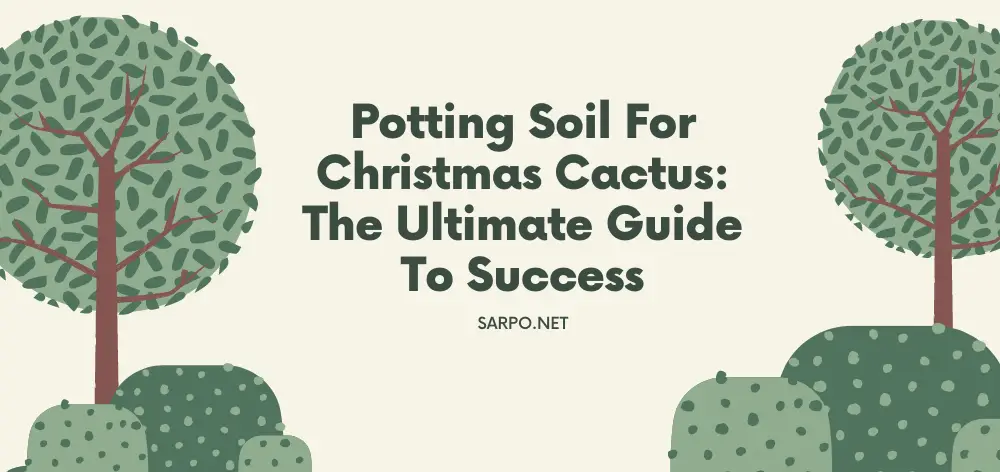 Potting Soil for Christmas Cactus