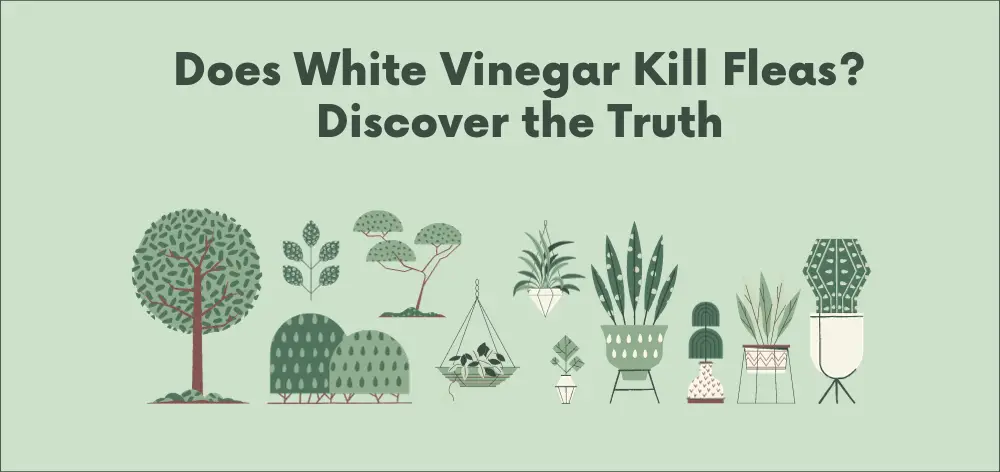Does White Vinegar Kill Fleas