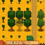 How Close Can Trees Grow Stardew