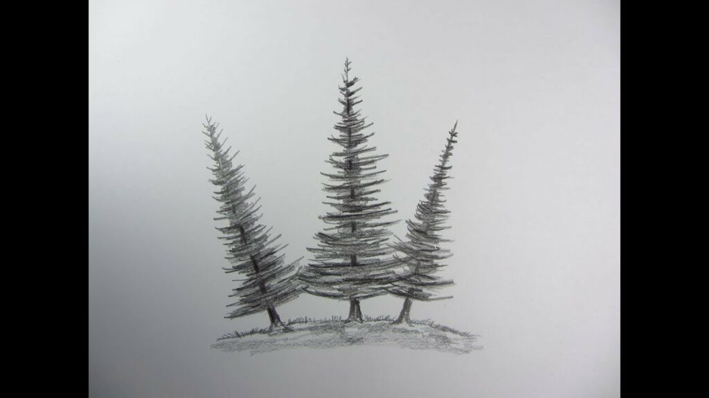 How to Draw Pine Trees Easy